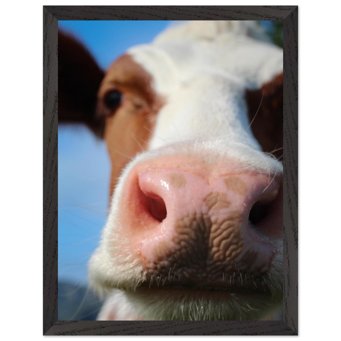 3ea62245-02e3-4e6a-97b1-78067c3e1d27