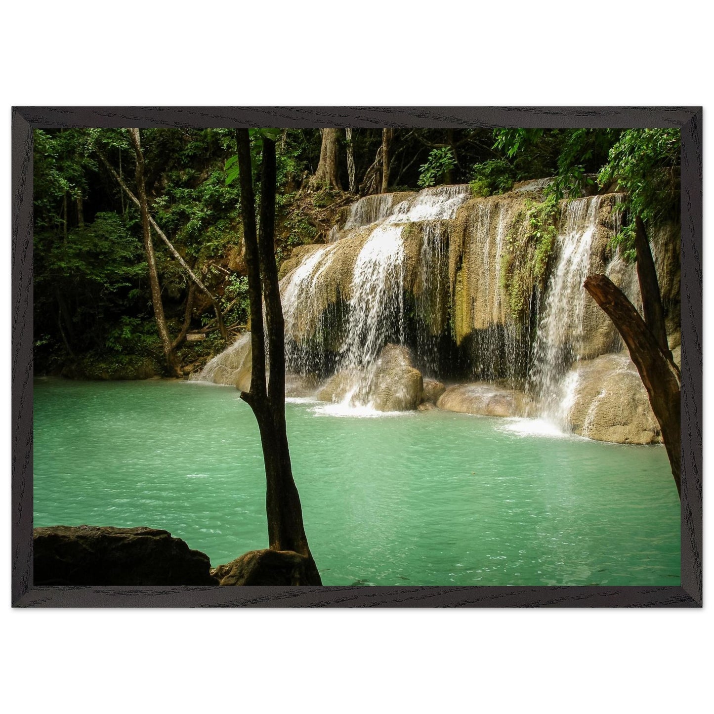 4156db86-4002-4050-b01a-348ebe699545