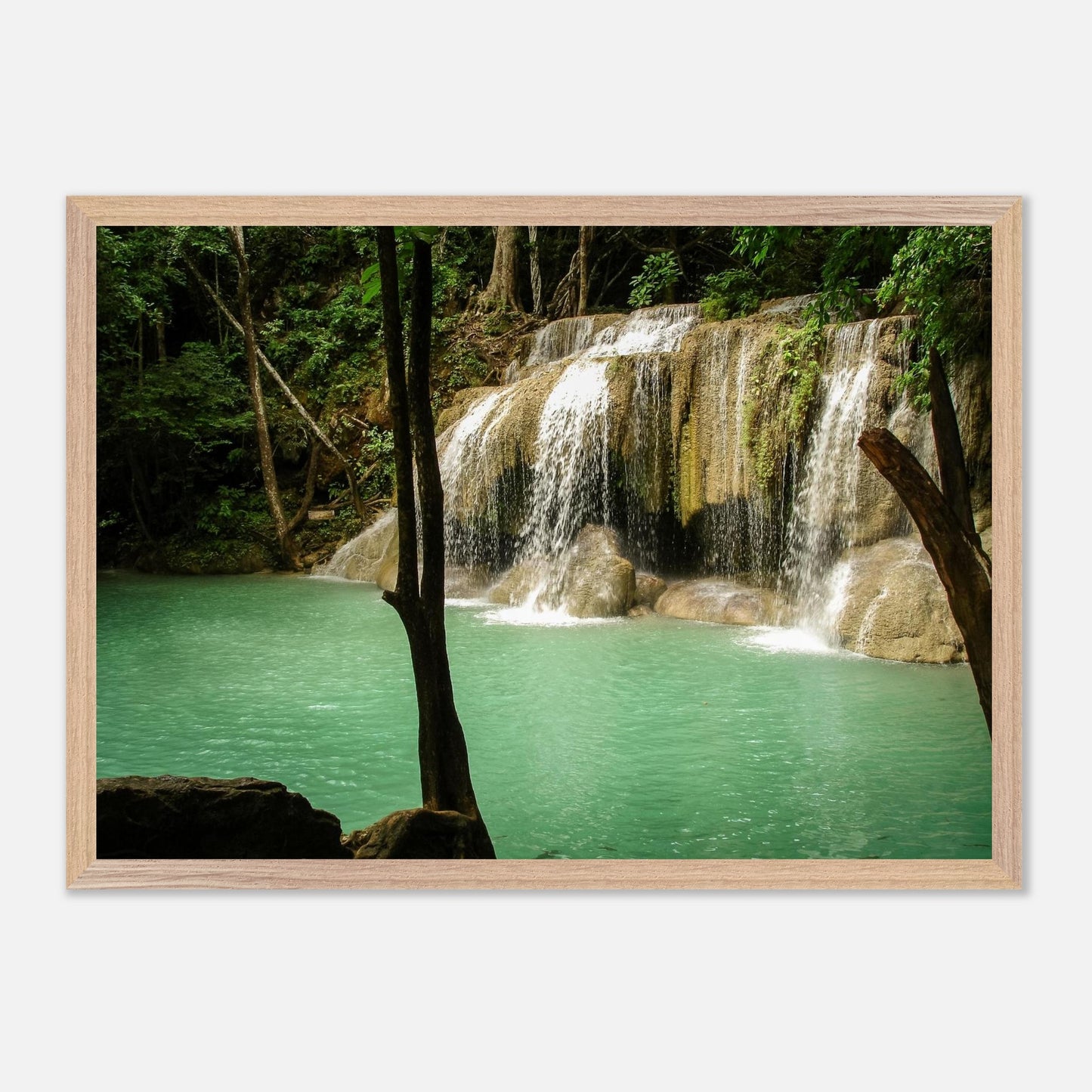 416aa826-7f92-4156-8e15-7271cd14d470