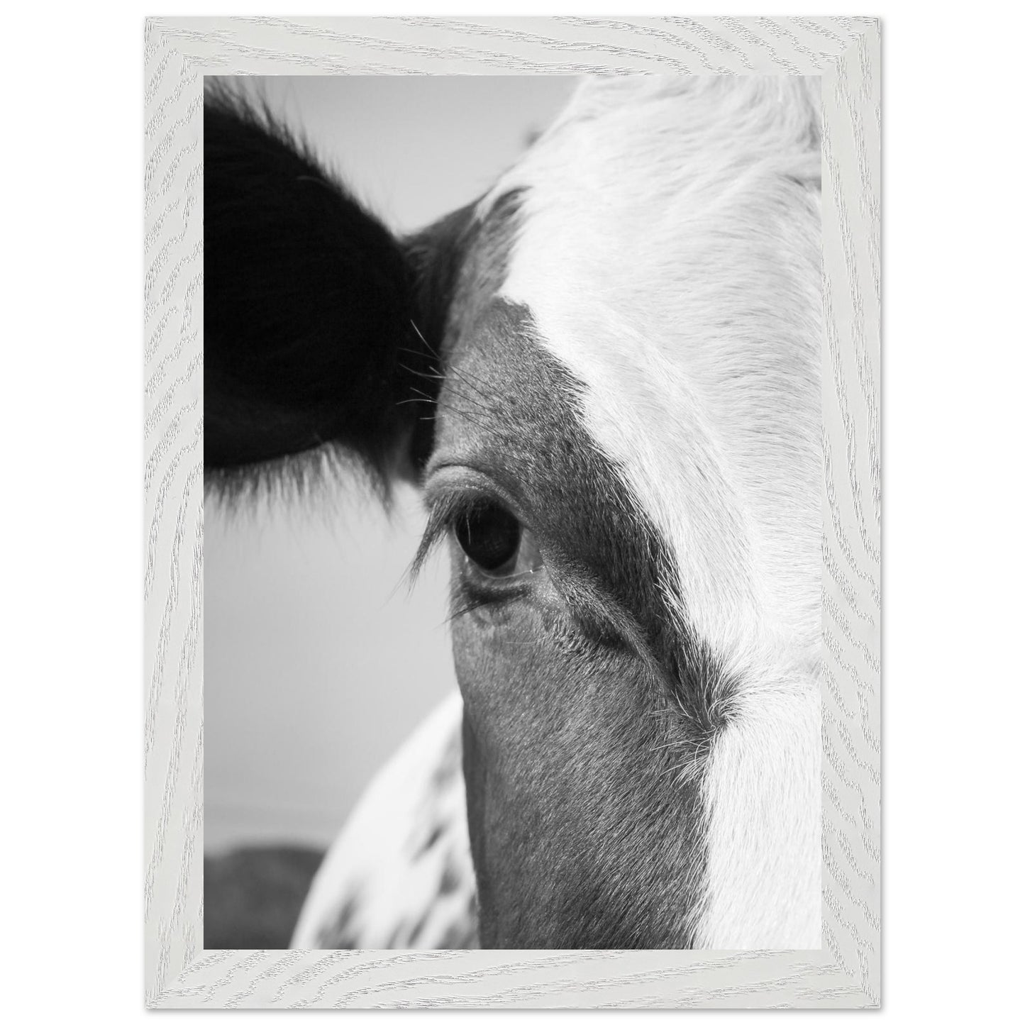 41f29561-e945-4ee5-af3c-5c9f6be7b0bf