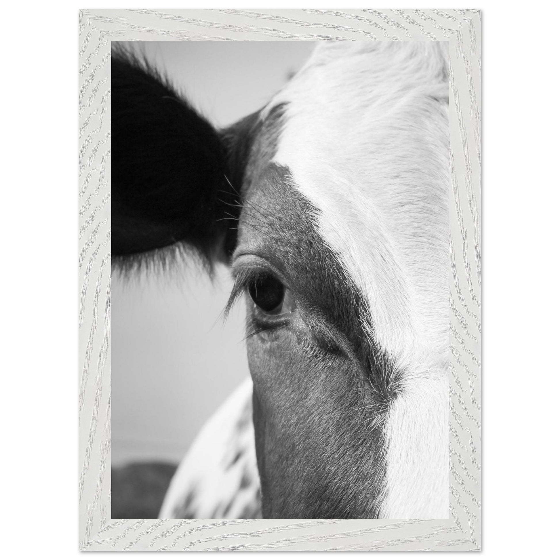 41f29561-e945-4ee5-af3c-5c9f6be7b0bf