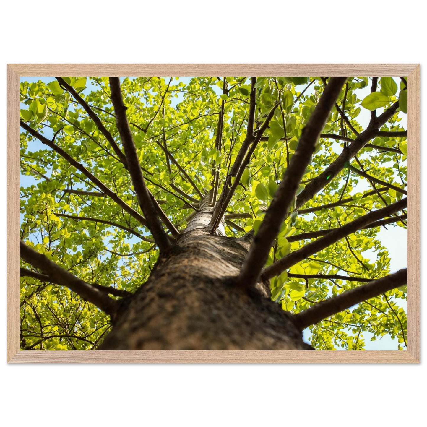 42a5b7e6-4062-4f1a-941f-0e3cf39af32b