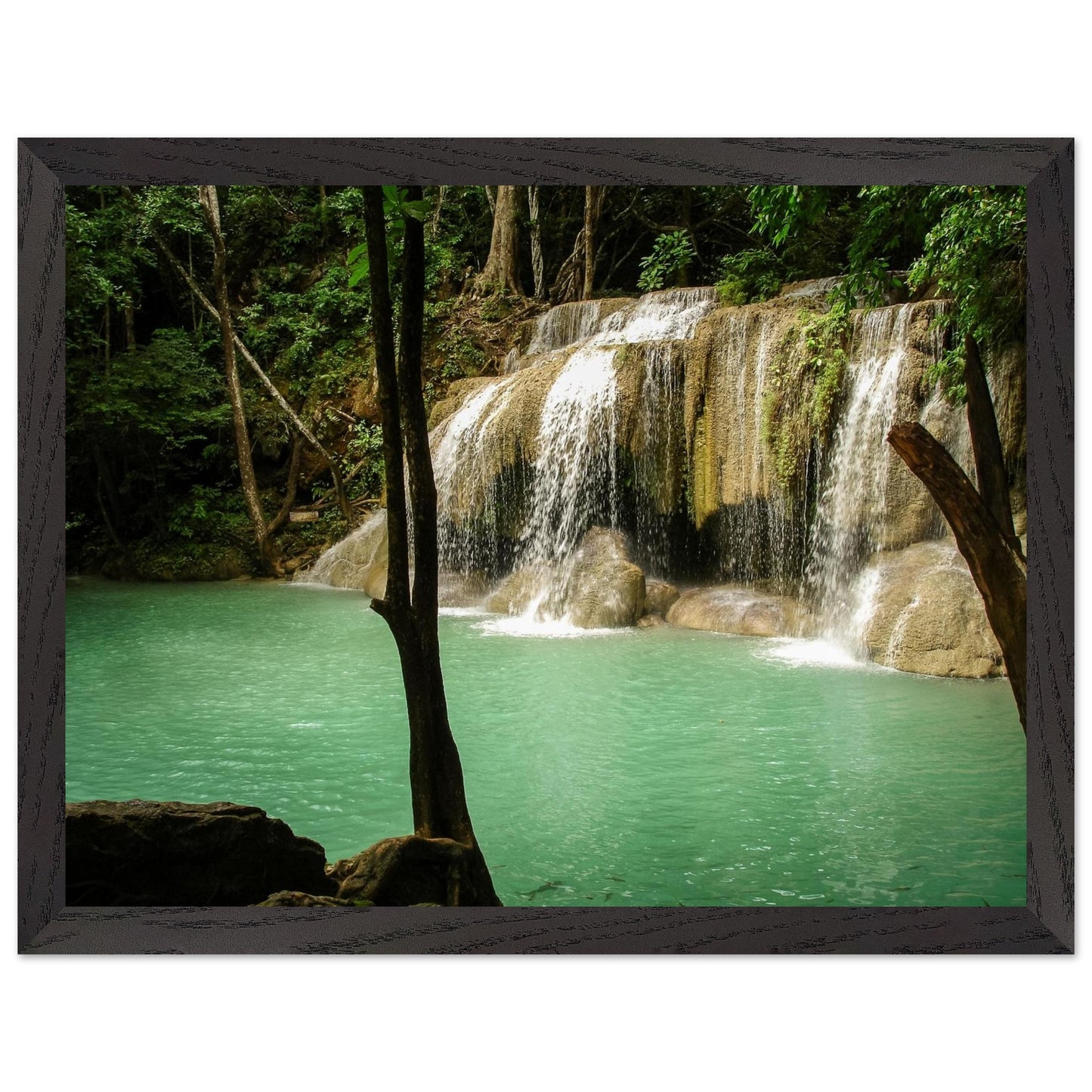 47a7b615-b3c2-4e13-b064-2bb8a6810909