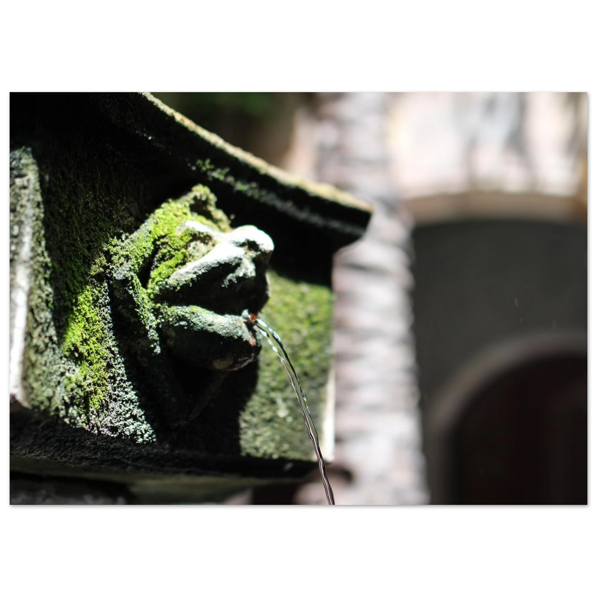 47c1e227-839b-4a72-966b-1daf28c73194