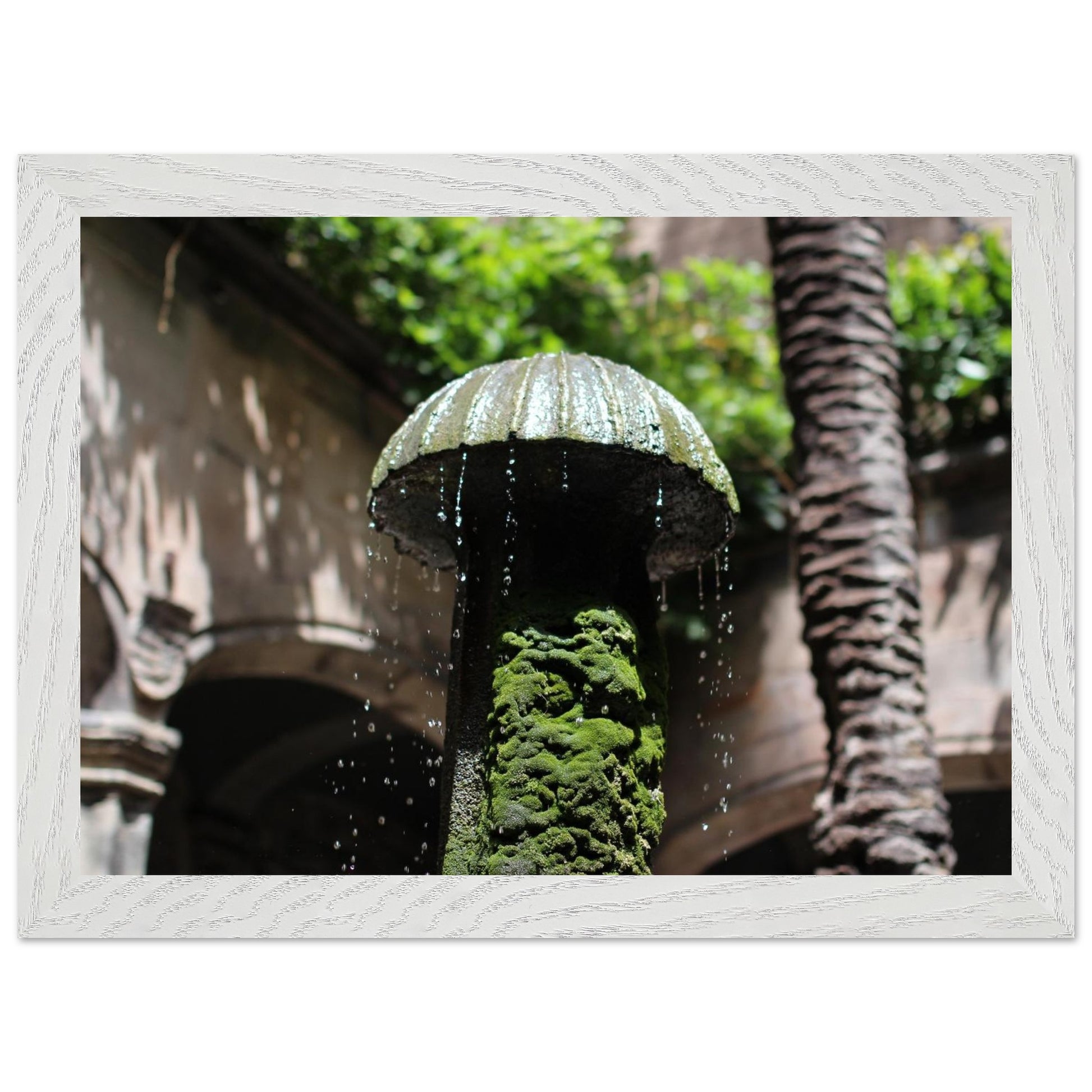 48278506-889f-4966-a8f7-56165c258abd