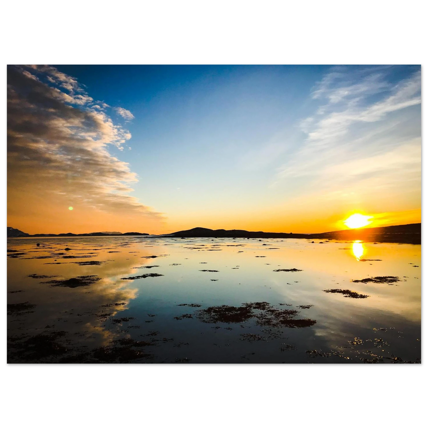 48322794-9777-4cc2-8e8c-26806b0467a4