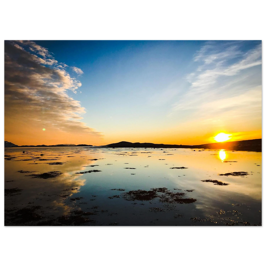 48322794-9777-4cc2-8e8c-26806b0467a4