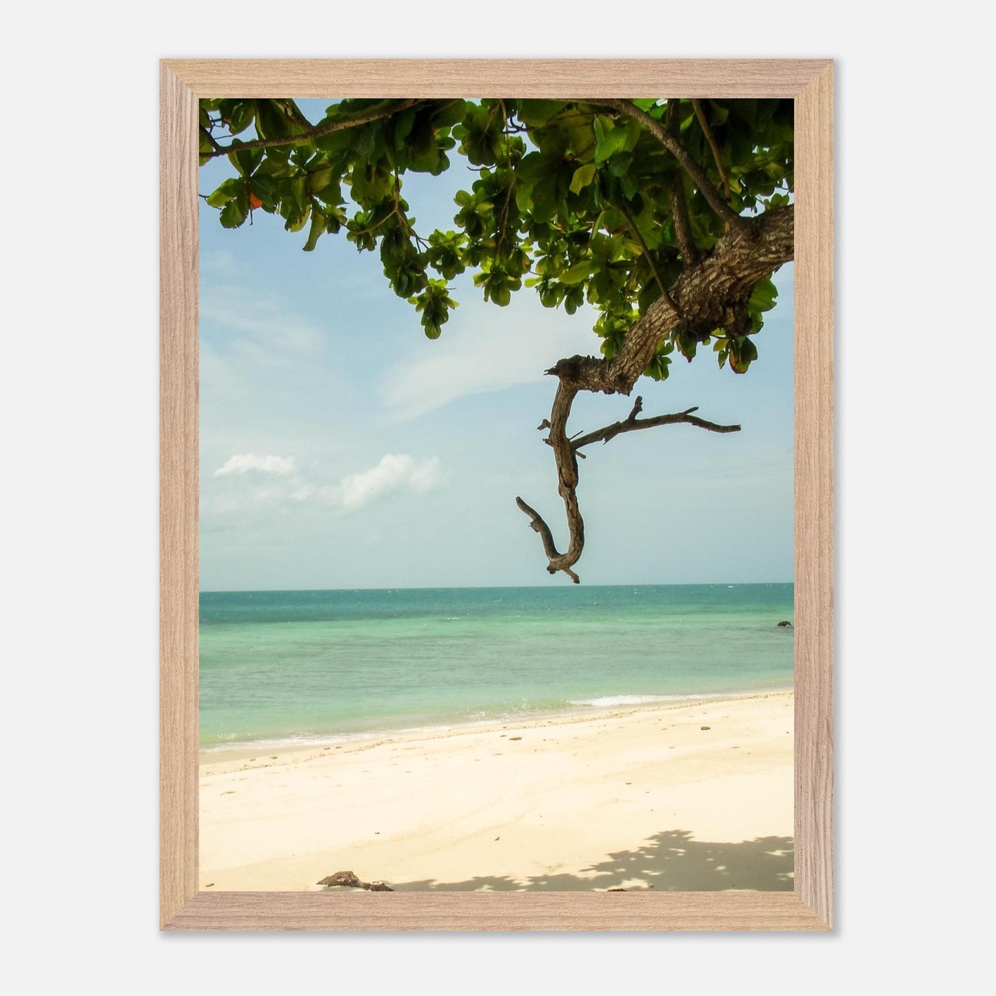 487afcce-e44e-42fd-aacb-1baa35ddead2