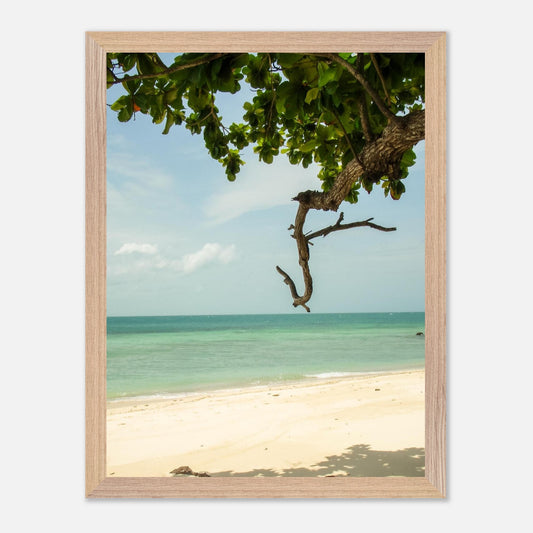 487afcce-e44e-42fd-aacb-1baa35ddead2