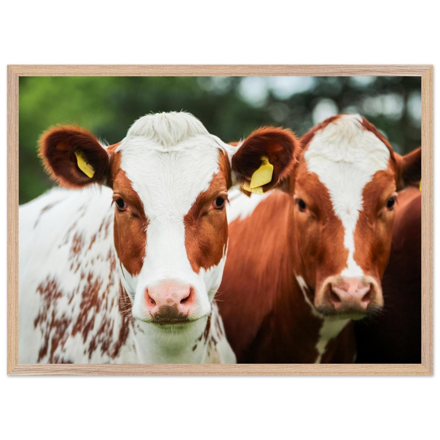 4e6ee2f0-70f1-413f-8519-934d5928ef23