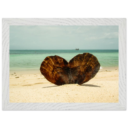 4e9254a1-2044-474c-8ffe-cade0b65cb7b