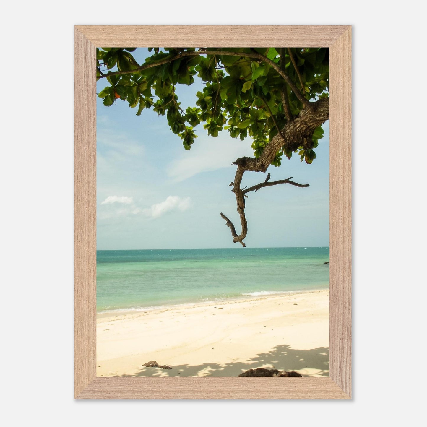 4f70a903-652c-4728-9967-96cd93dd30d7