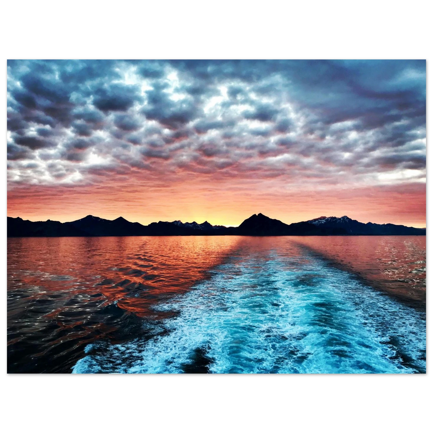 52a26cd3-cb0c-4815-9395-68ffe33200a1