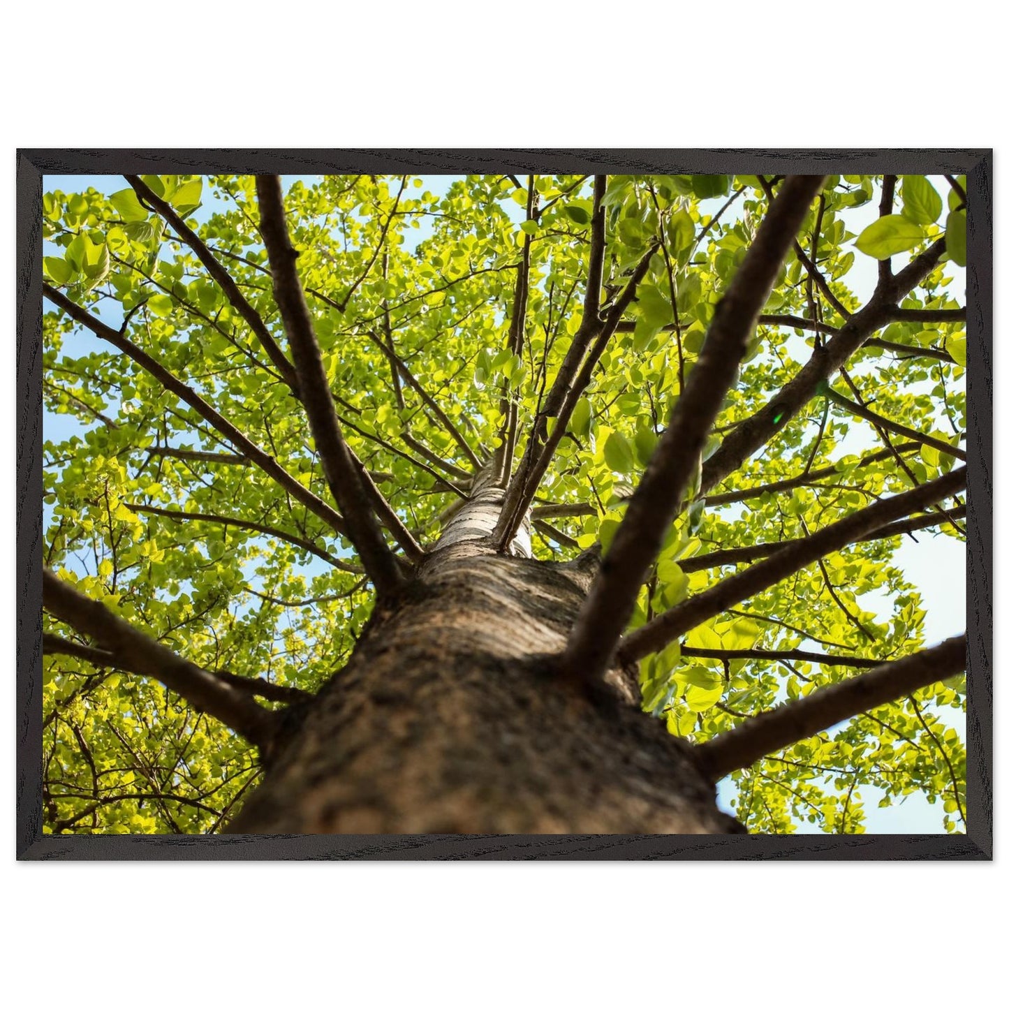 533206bc-d7da-4063-a0dc-05dc3196b6e3