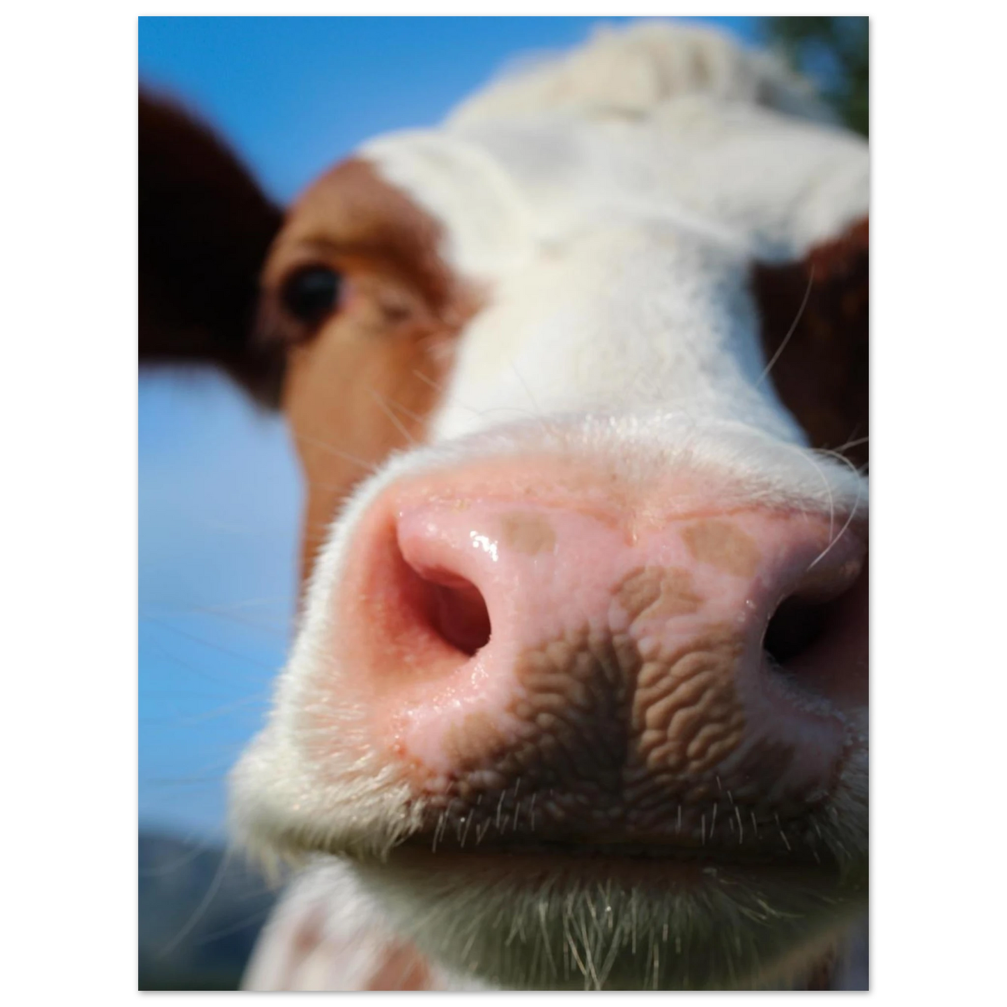 55dcec5e-bb71-436d-81a3-c2fbba980a09