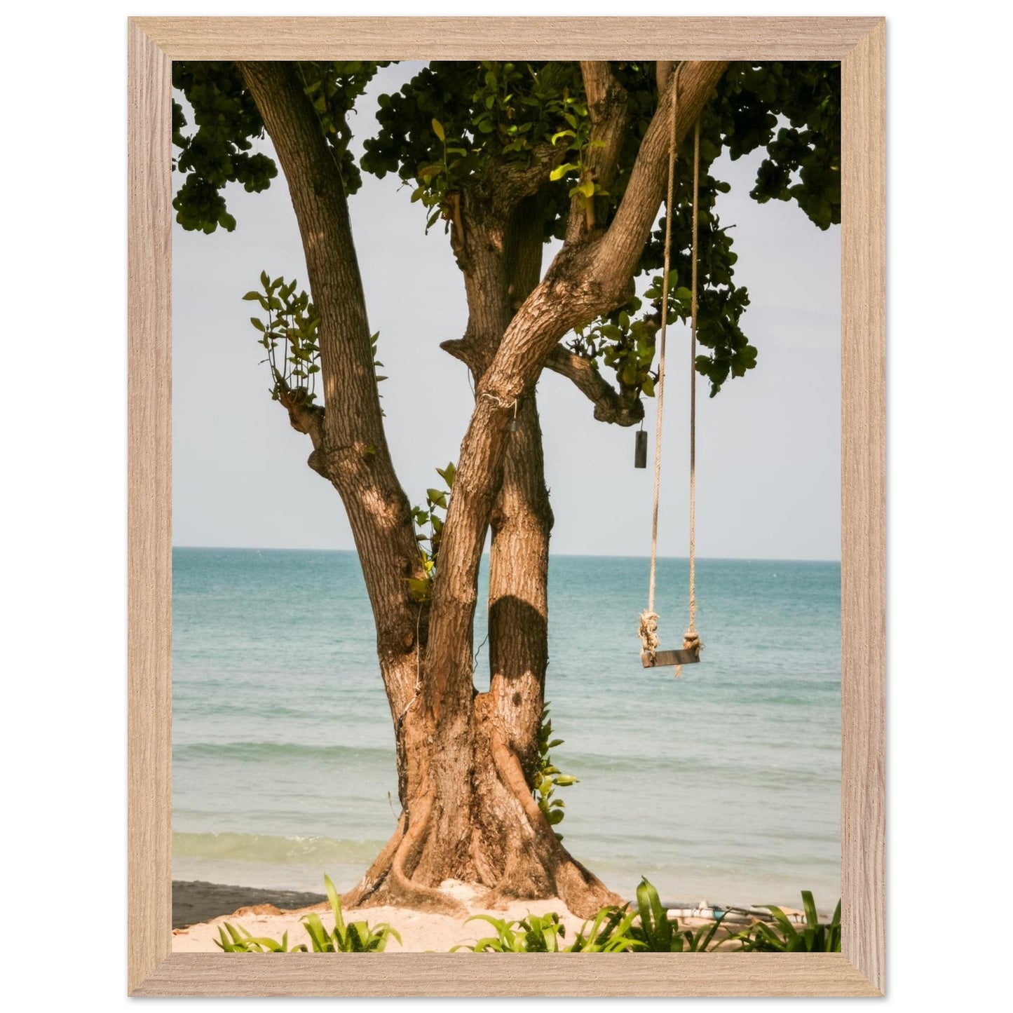 Strandliv // PAKKEPRIS - spar 598 NOK