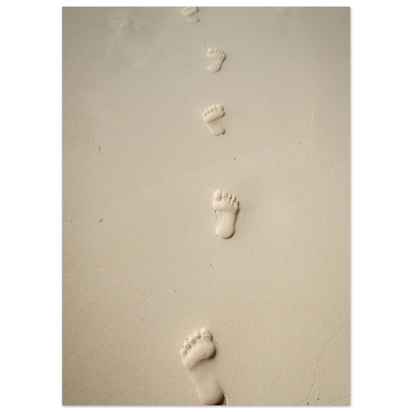 562abc15-d66e-4d71-8b83-729d24fb0deb