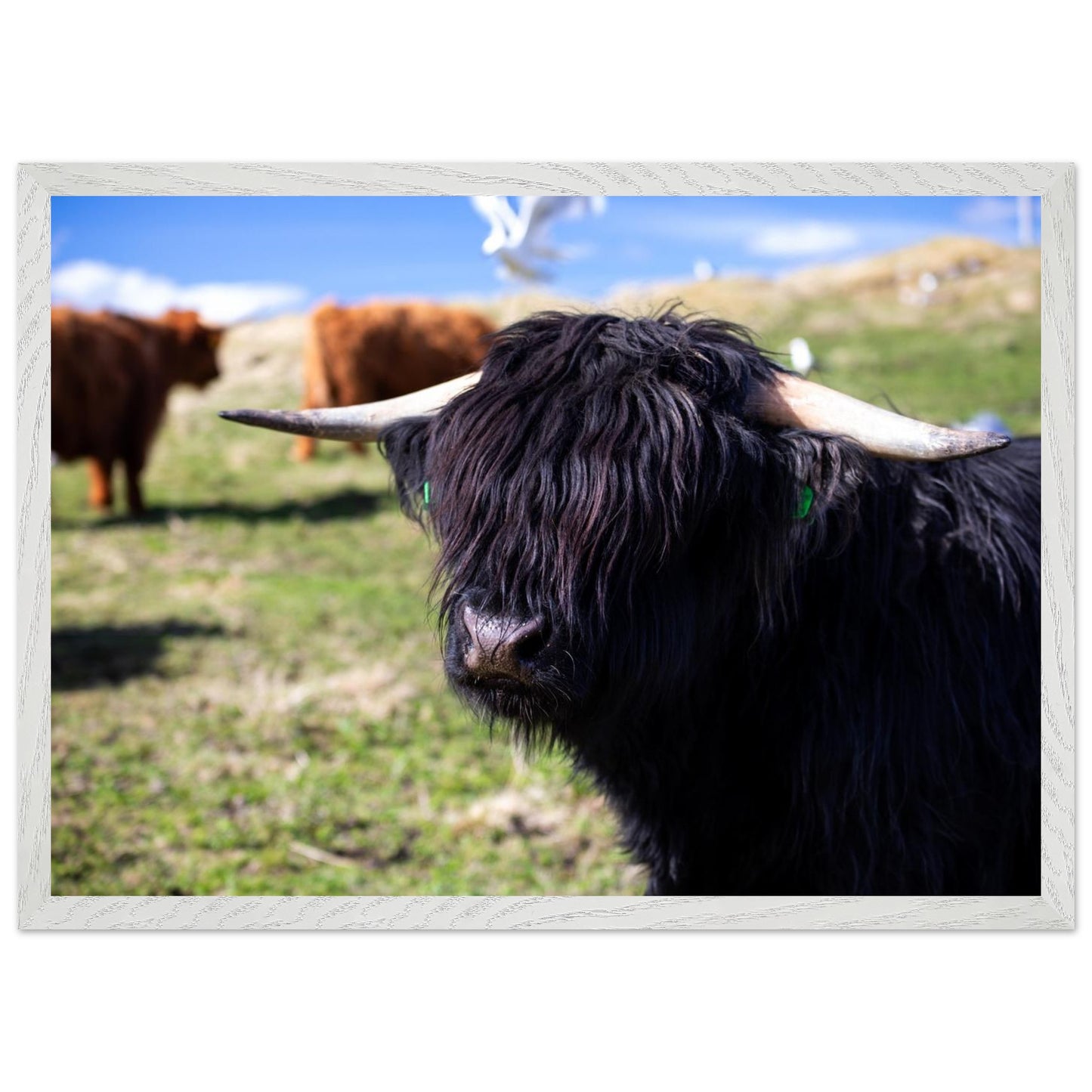 5752f96f-8e6a-4a82-a538-baa2f73ad727