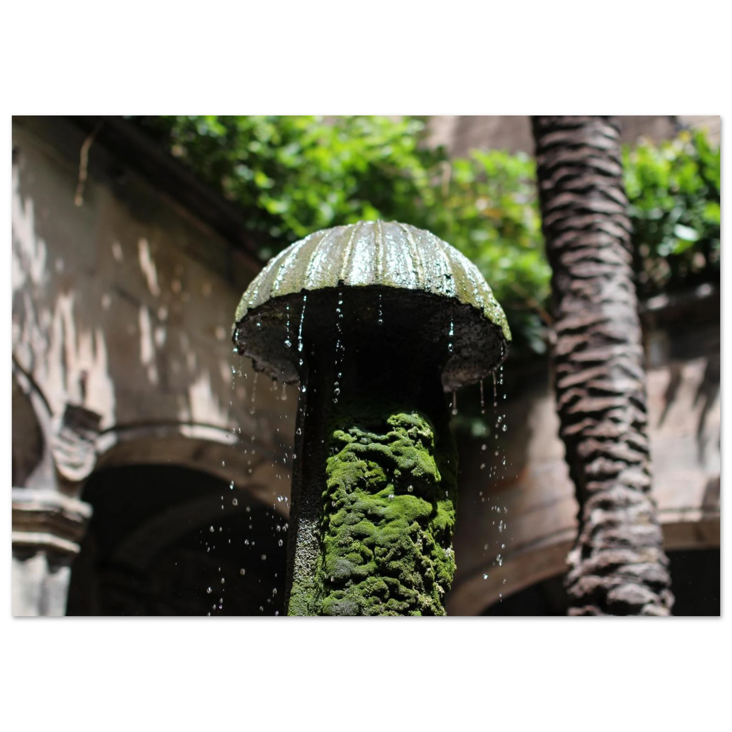 580495c2-506f-4ae5-ba59-ff4a360062d7