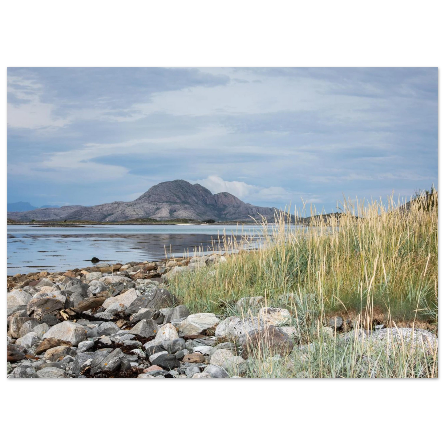 58a0ce89-ff19-41c1-845a-25794dfdc2a0