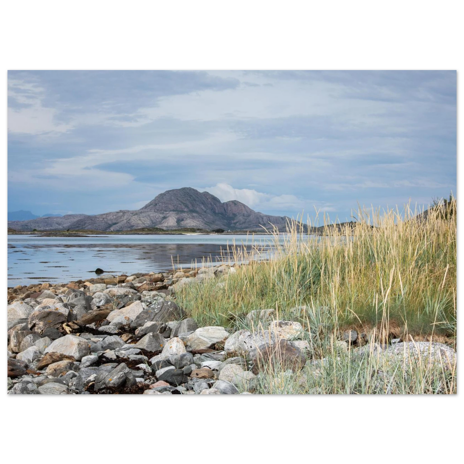 58a0ce89-ff19-41c1-845a-25794dfdc2a0