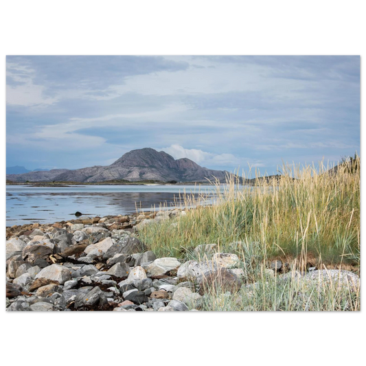 58a0ce89-ff19-41c1-845a-25794dfdc2a0