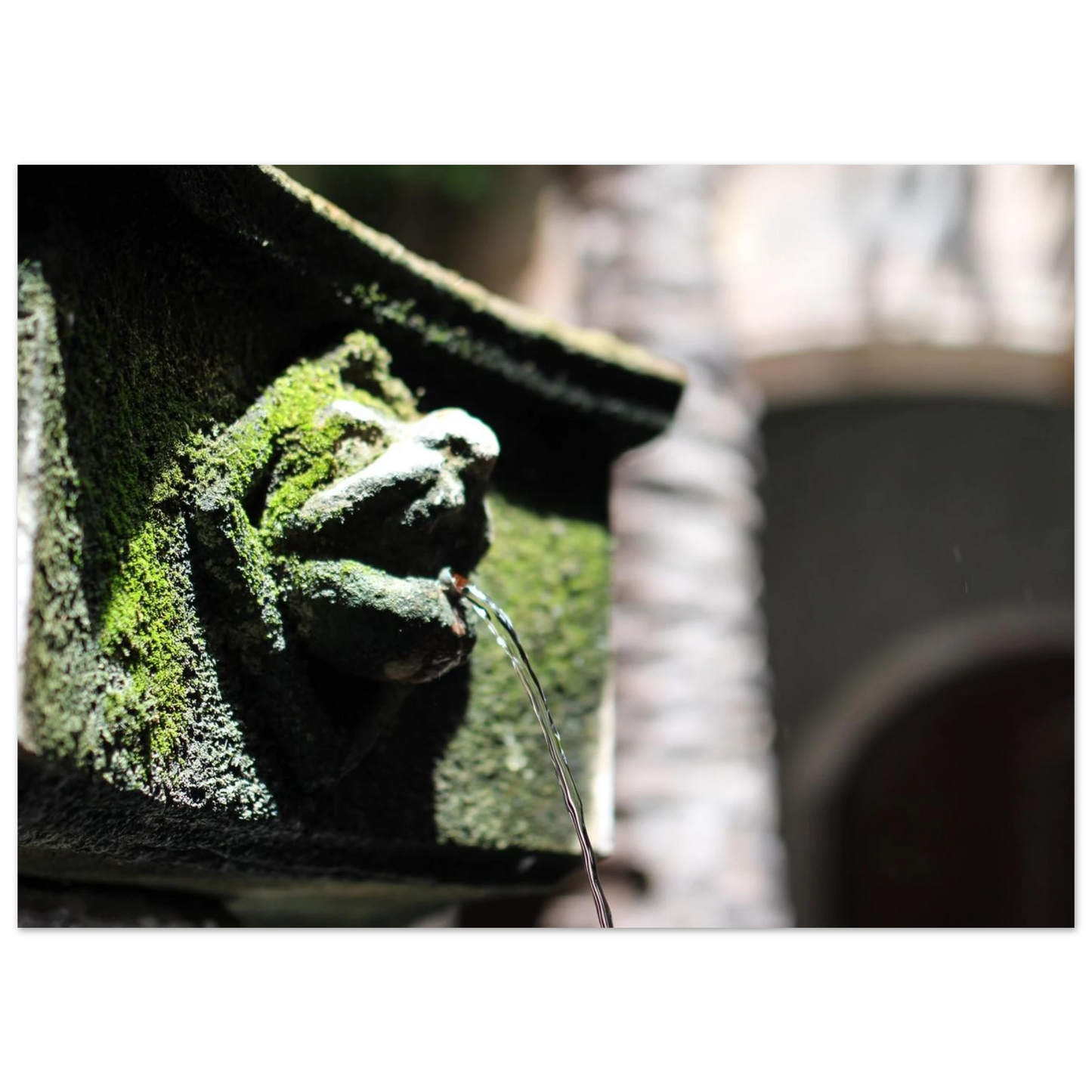 5926387e-16e3-4553-9d9e-15de4e1bb8df