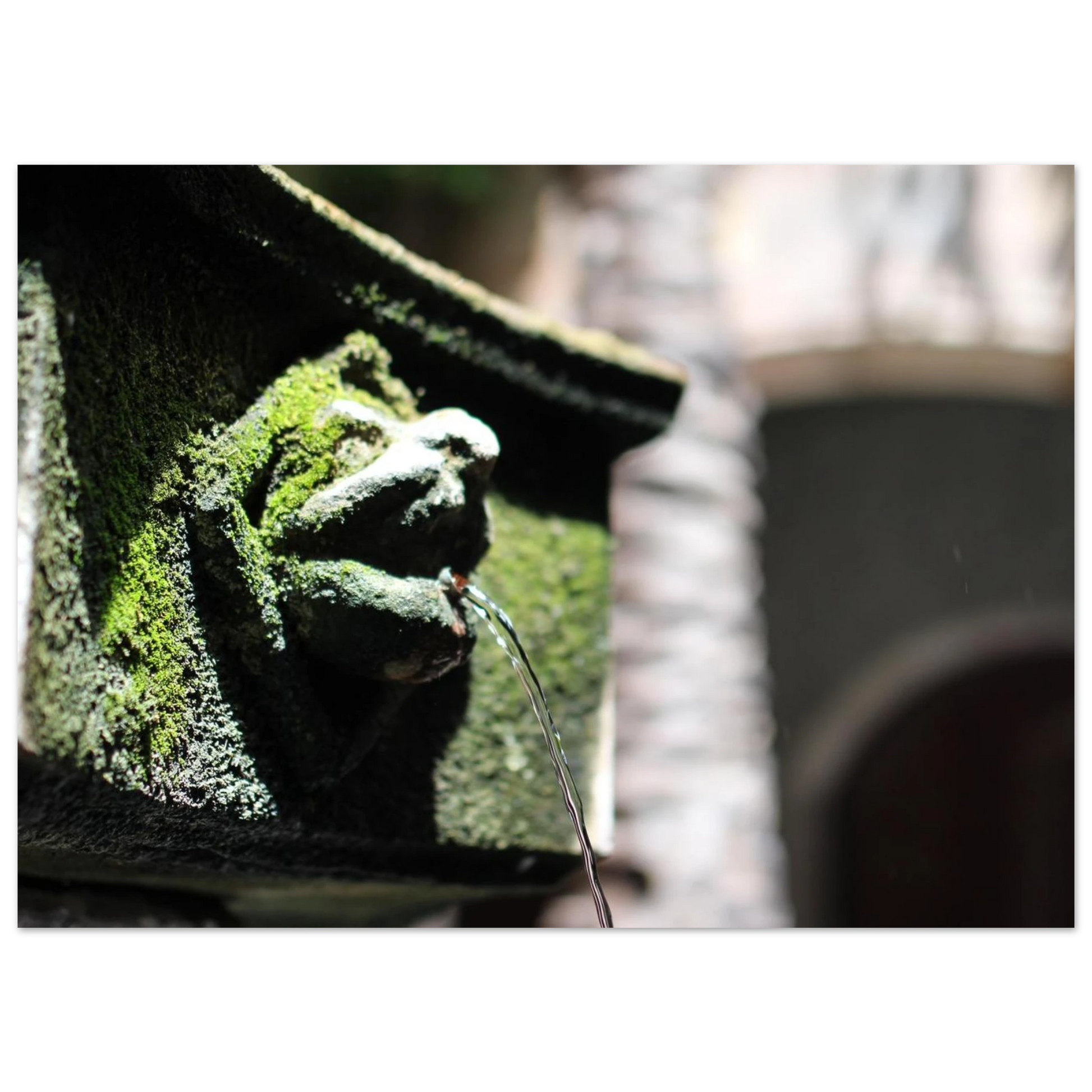 5926387e-16e3-4553-9d9e-15de4e1bb8df