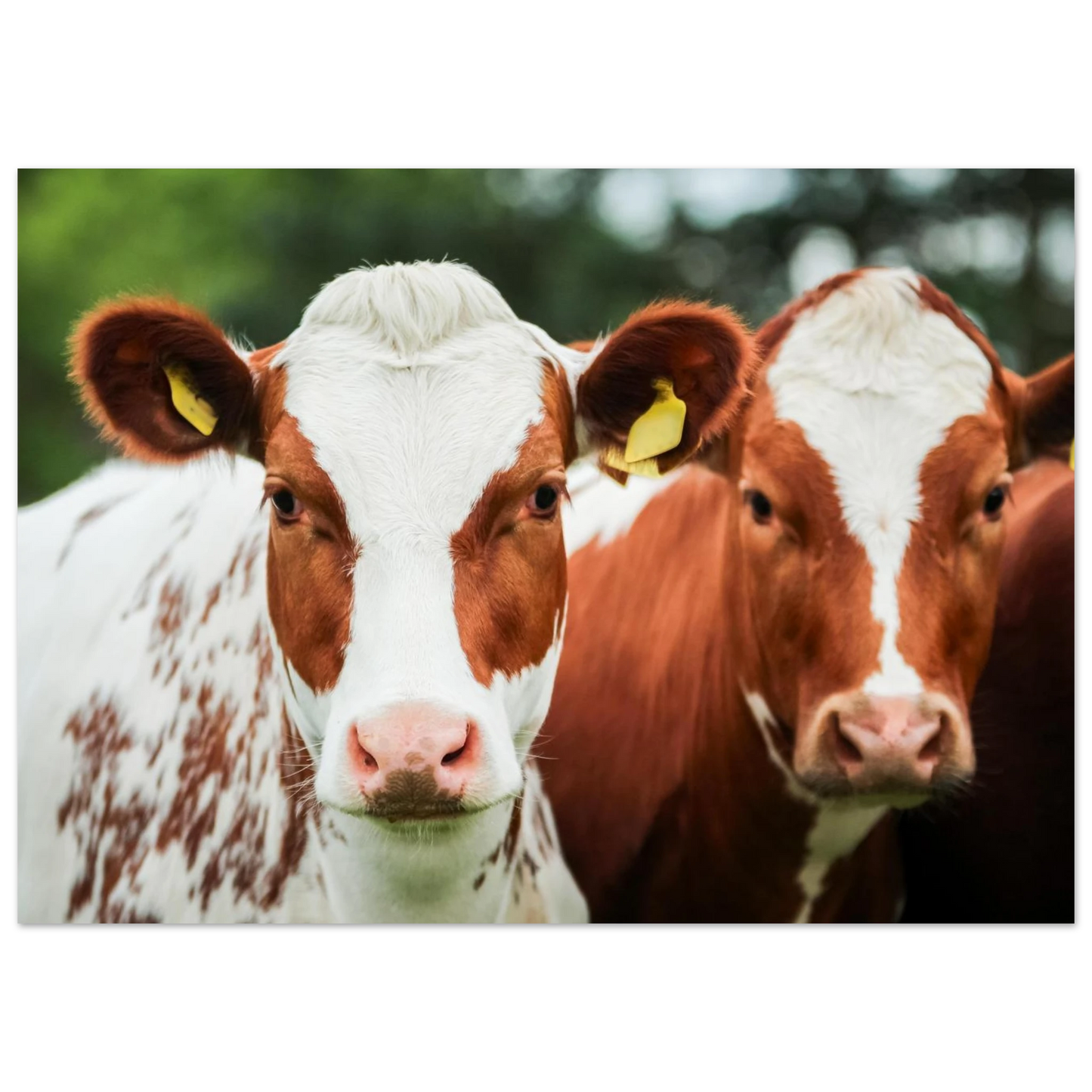 59969312-5a9f-49b1-be32-12ade737a8a0