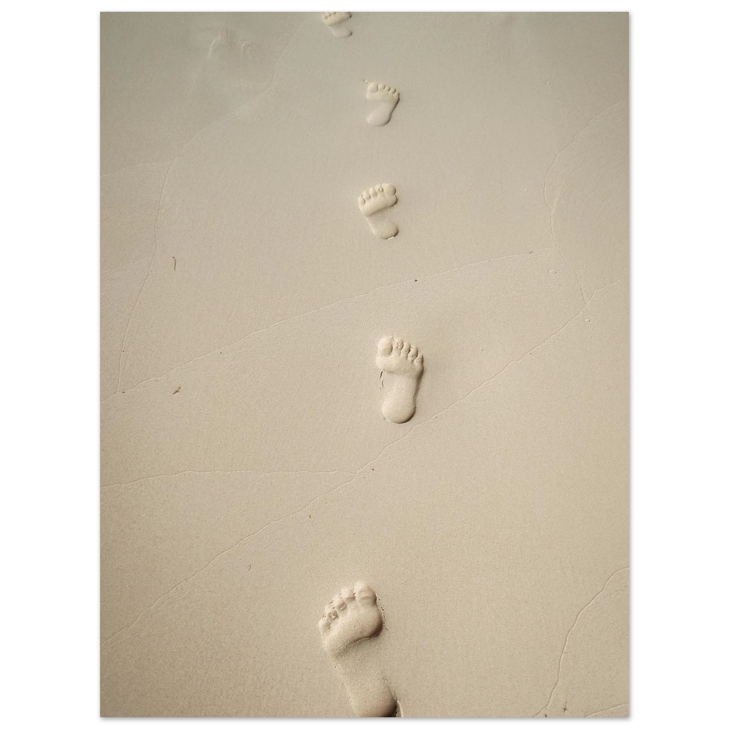 5a896972-8456-47bf-9cf7-296165a92542