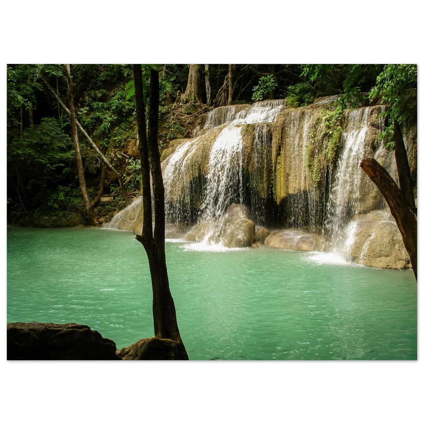 5c7de286-705c-4d0e-b116-08e0709902b0