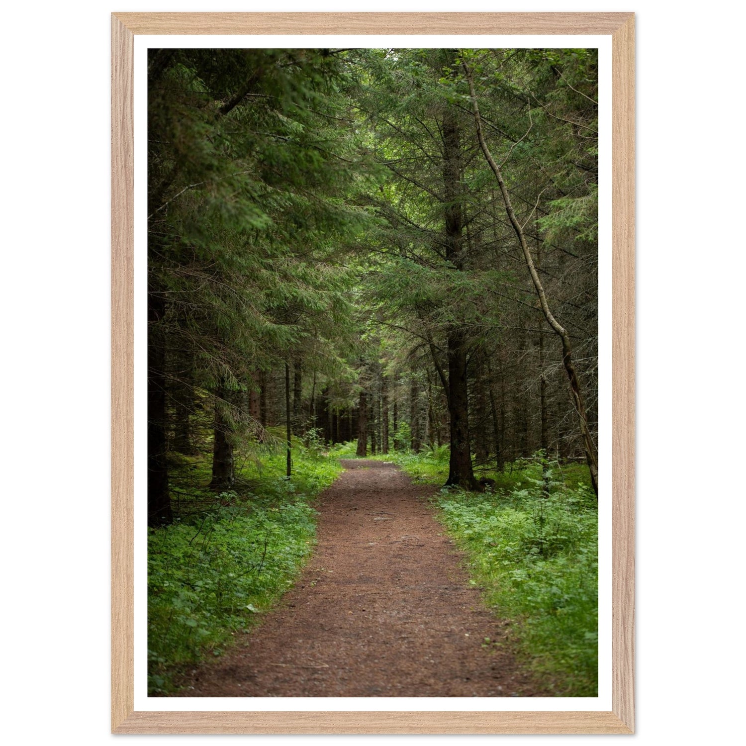 5cae97f9-26ea-46dd-9049-79b16f9dcfc0