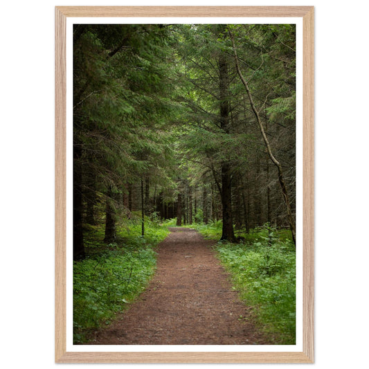 5cae97f9-26ea-46dd-9049-79b16f9dcfc0