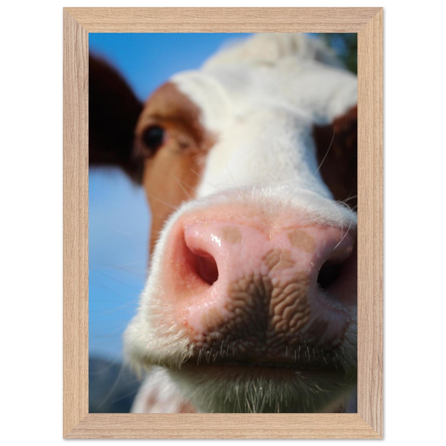 6098e556-56e9-472b-9f02-040583a696bf