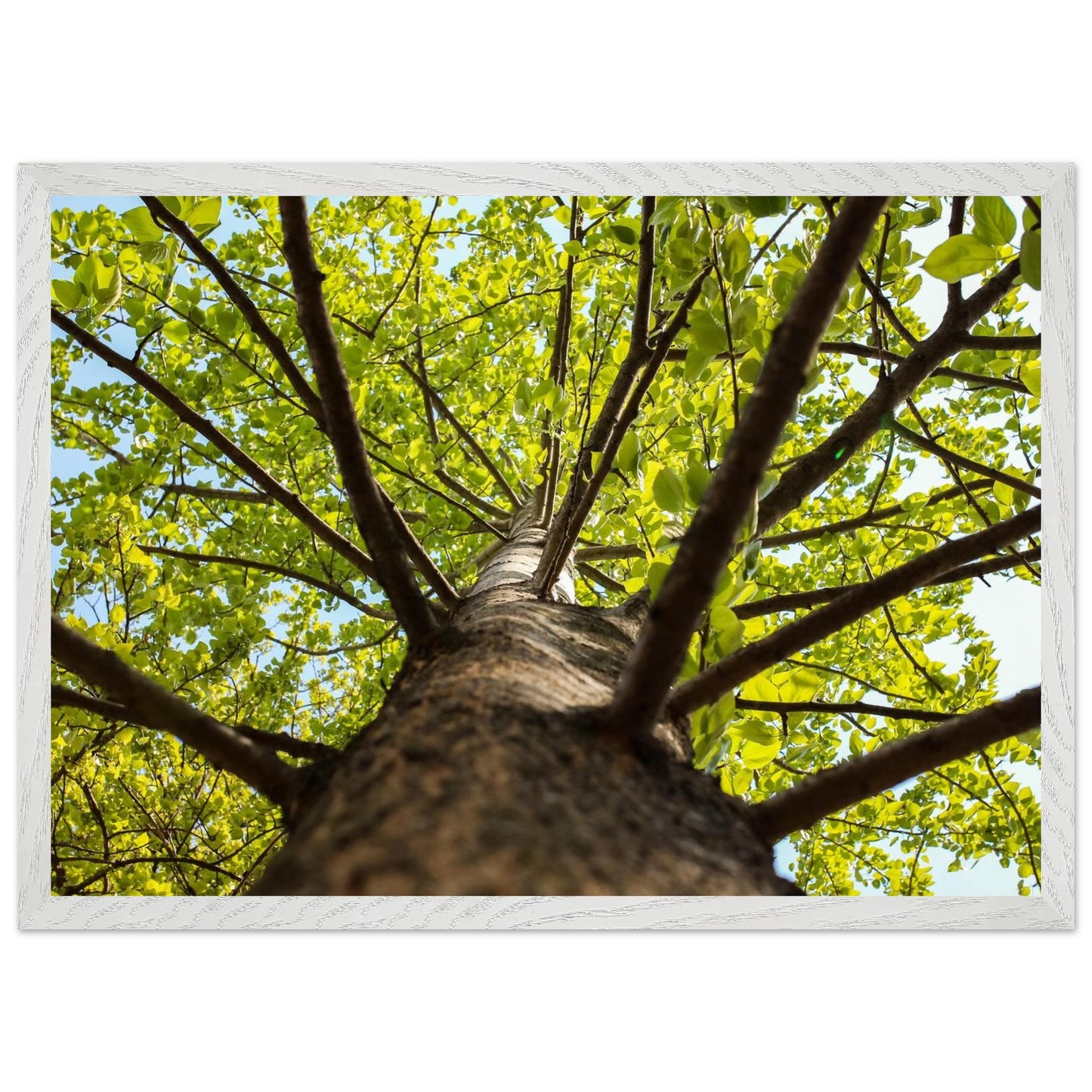 6261f517-b555-4f42-b6cc-2681429f9814