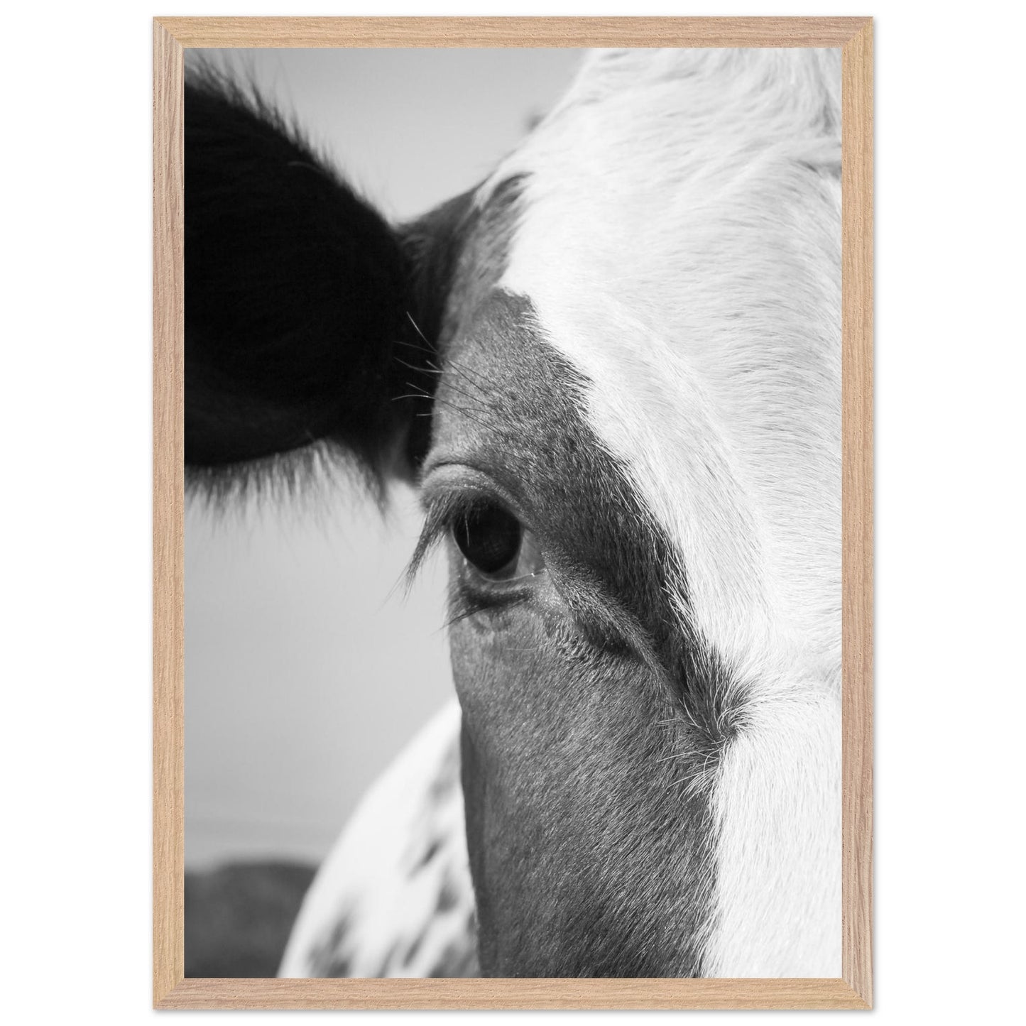 680d2adb-73be-4a35-a19b-94e91303344a