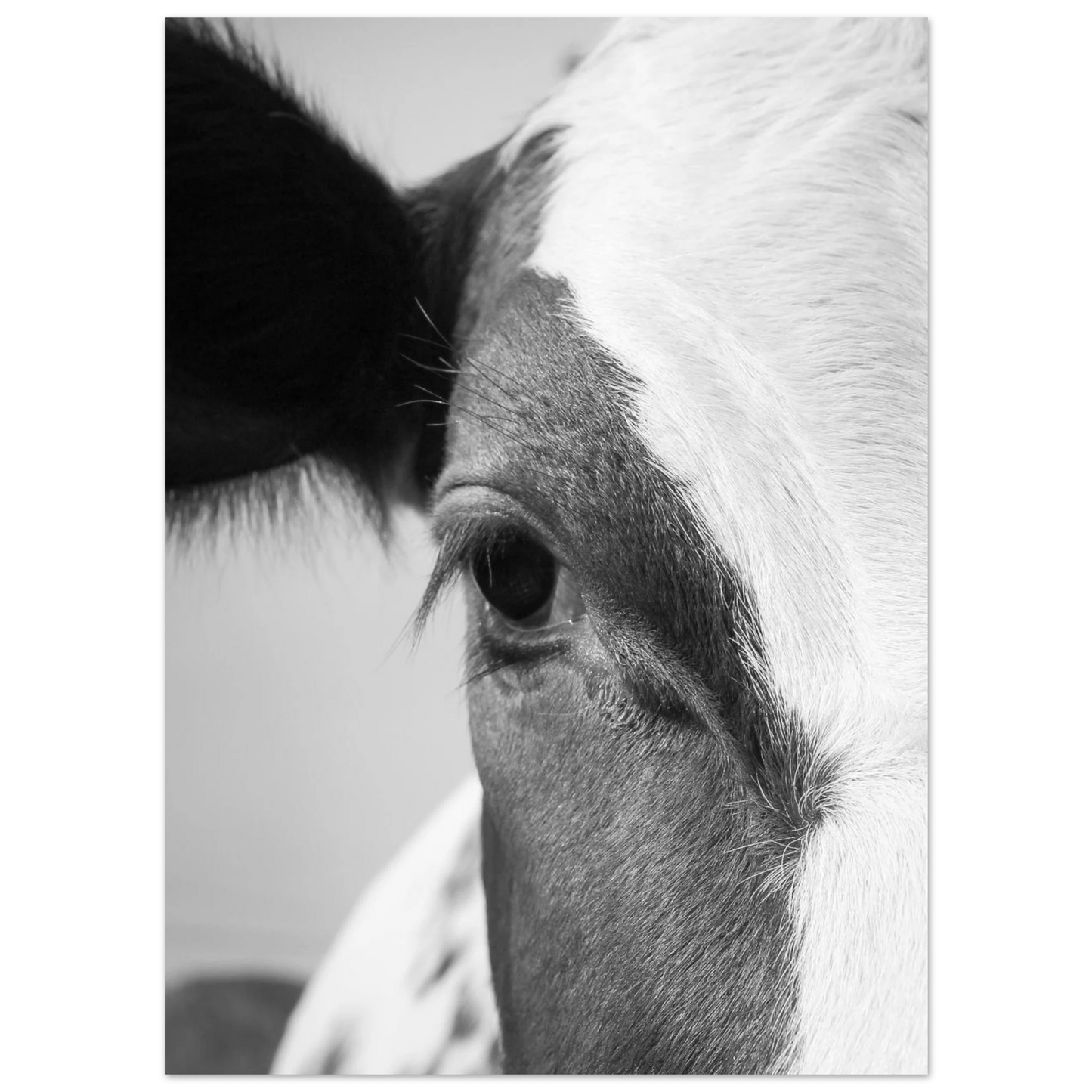 6a23a9f0-3cfb-4193-bb16-f13baca24338