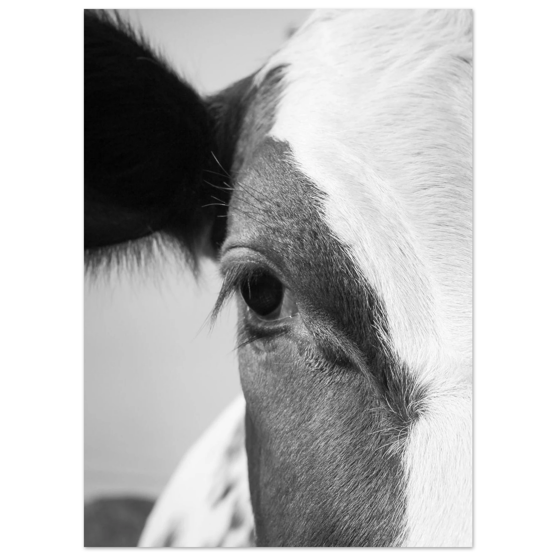 6a23a9f0-3cfb-4193-bb16-f13baca24338