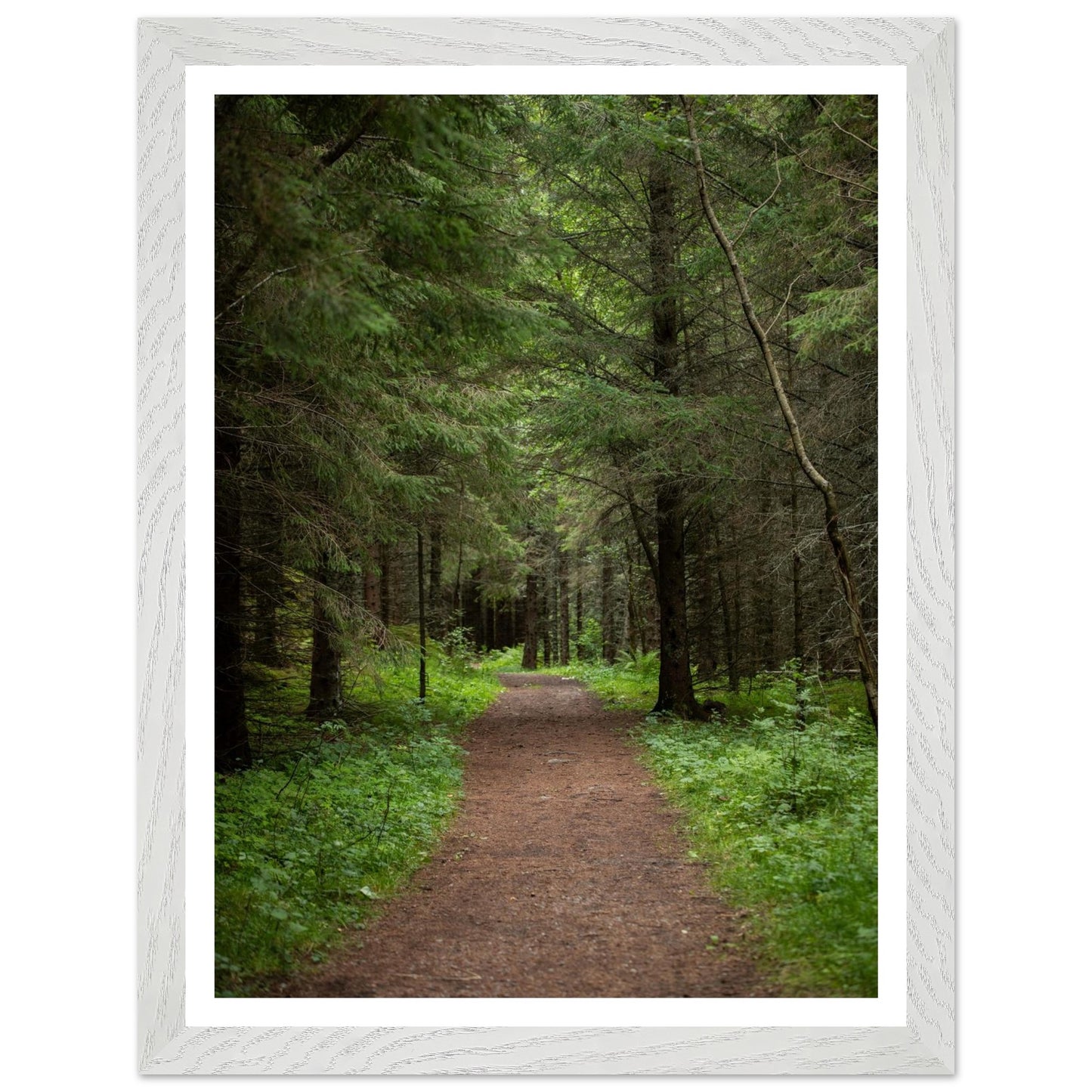 6a2899b0-547a-49a0-b1ef-d7debbcf18dd