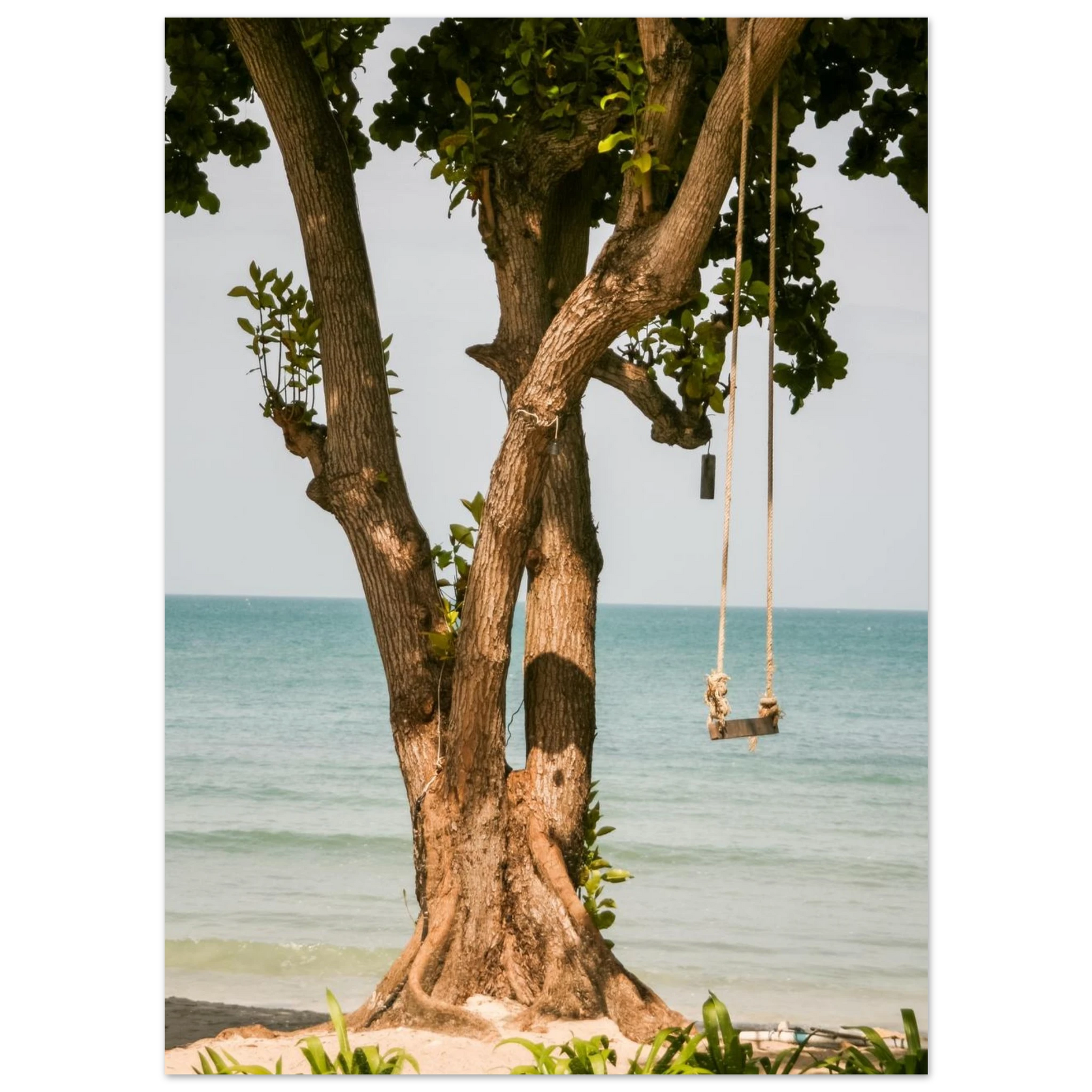 6ac515d6-d37b-41a0-b448-97d7158fc022