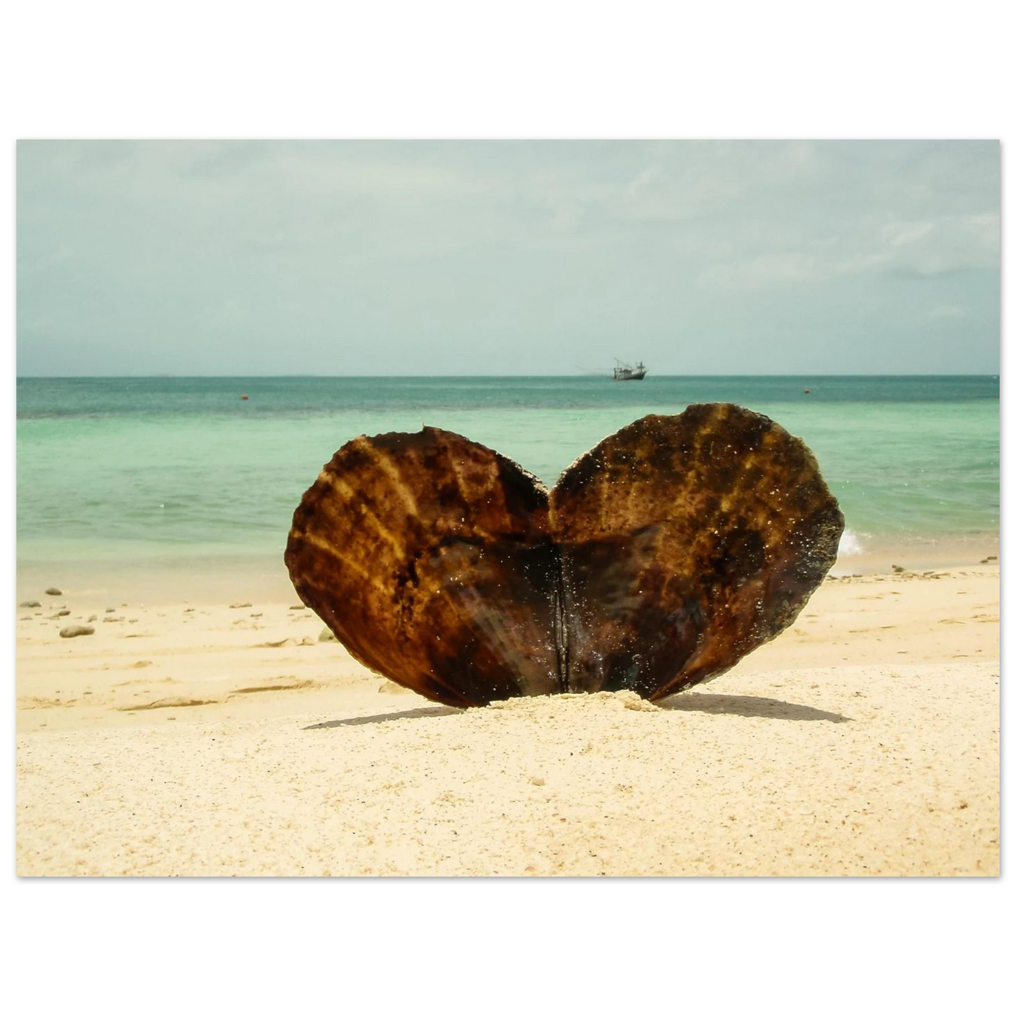 6c607fe7-74ed-43a7-9e8e-3739e7b56613