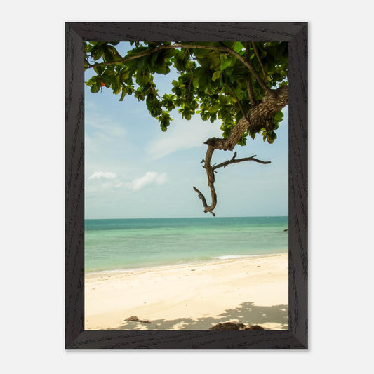 6f4427ae-ae1e-4f88-9d0d-dd45eca242ff