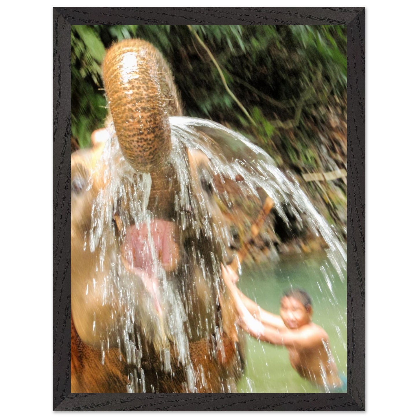 70553255-d1e8-41e4-aac2-5433ef005a47