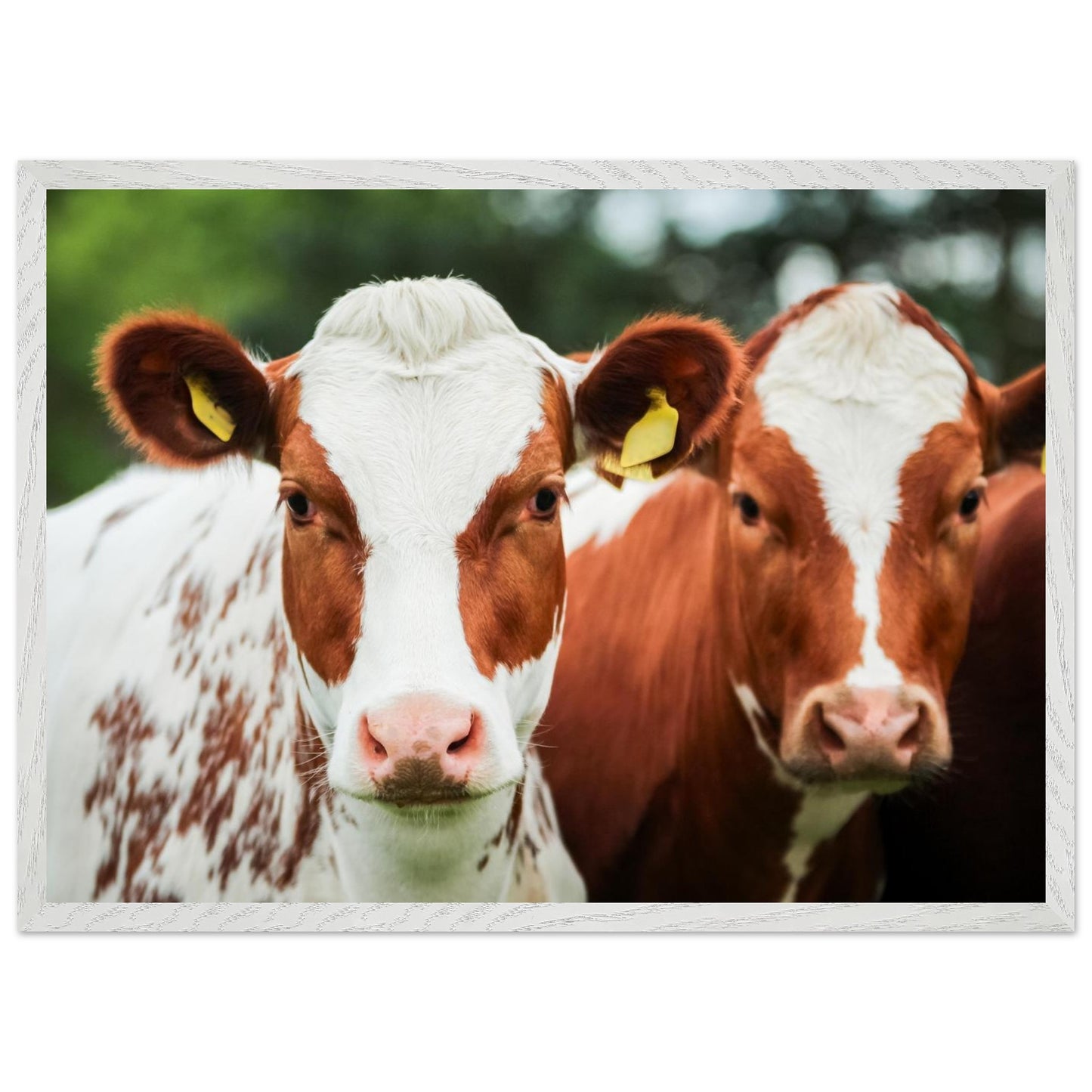 72175a34-b382-492d-be52-8f7b1ccd44c9