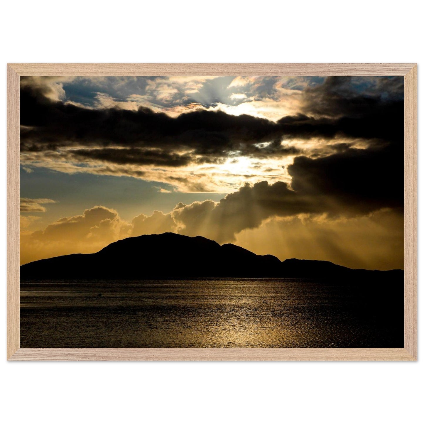 7241eb49-12a2-4269-b995-94f3c3dff017