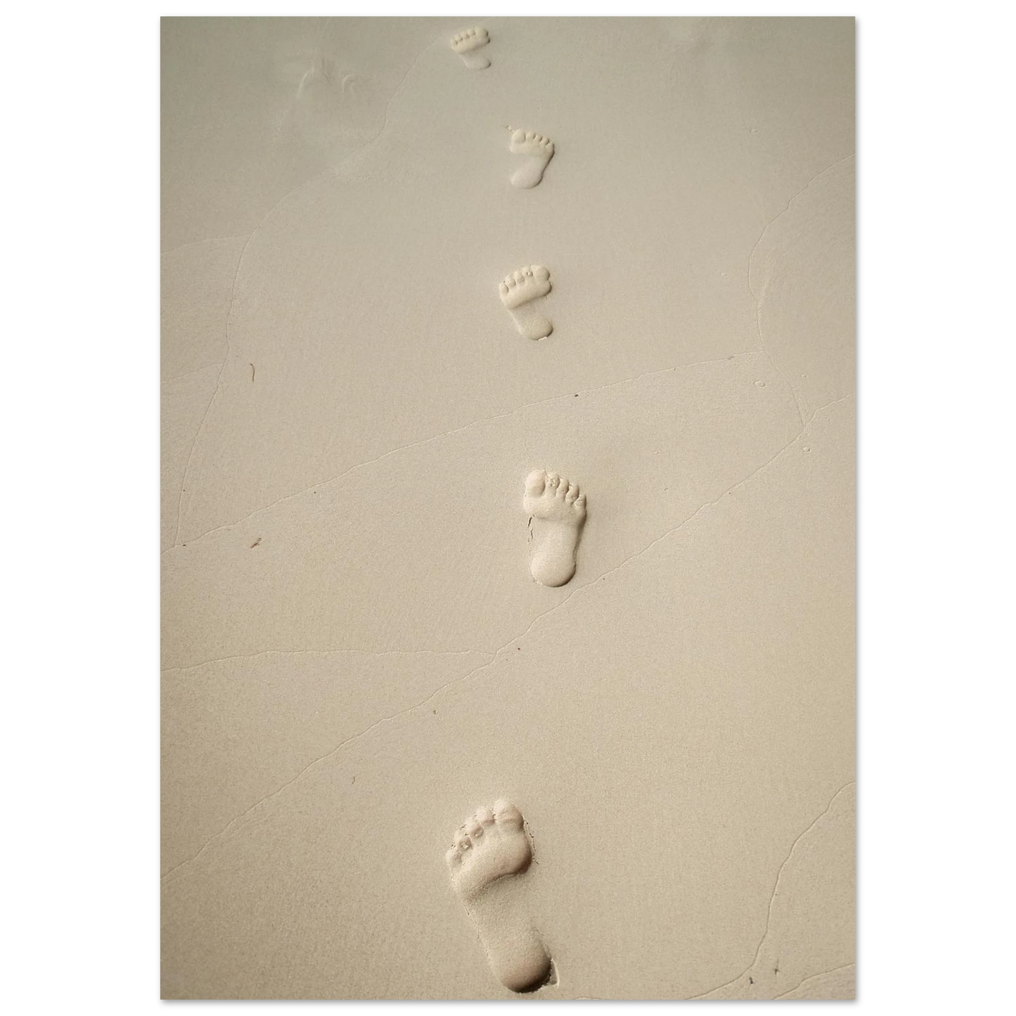 768ed416-bc9a-4bd1-a3ea-35ad23092013