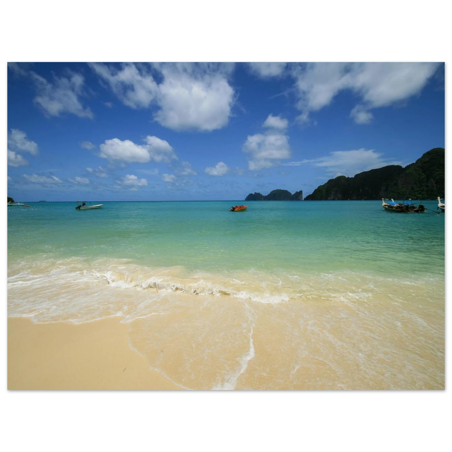 78b954b1-0339-4a3e-b4fd-19d9867f9eaa