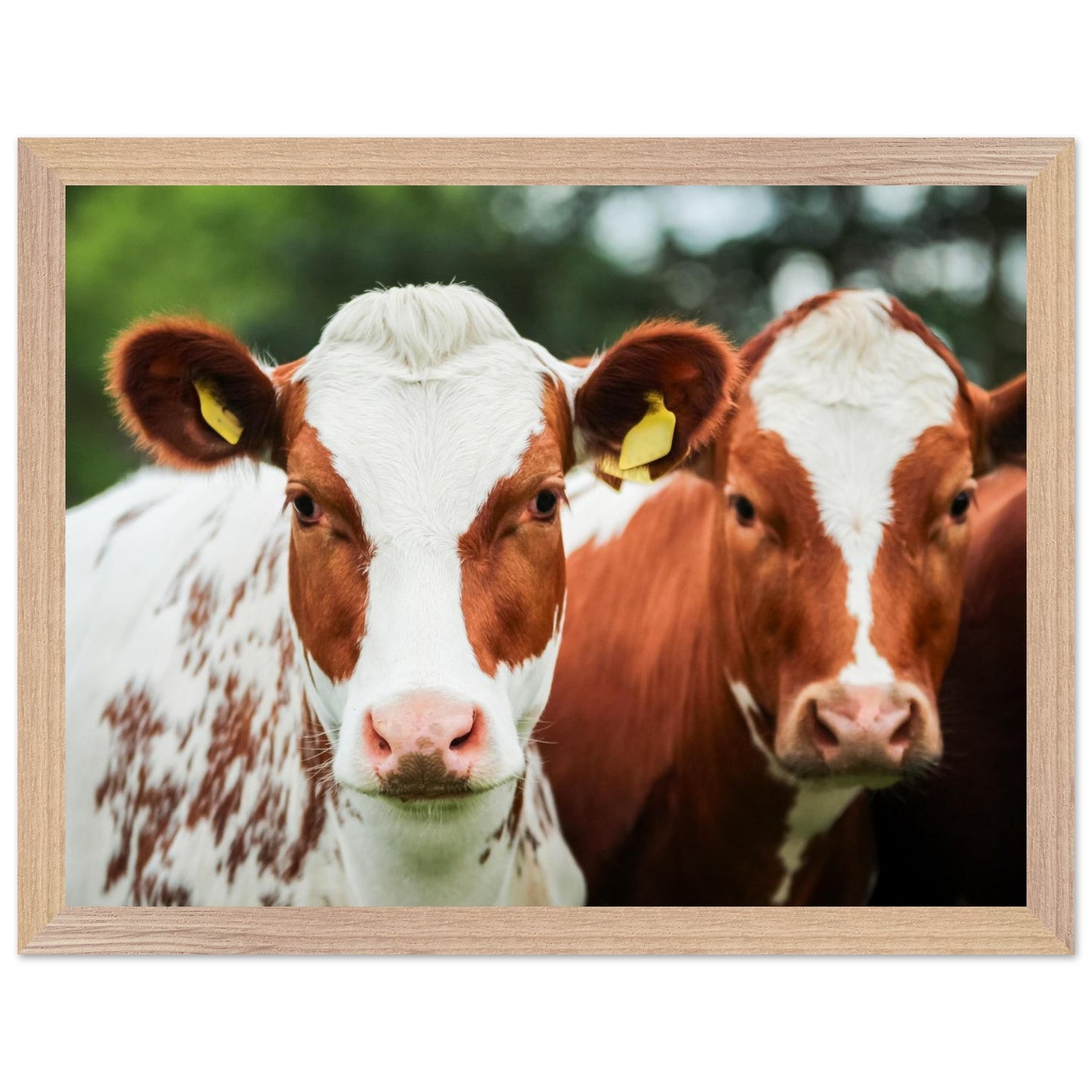 7abf179d-6024-4de8-8113-6cbe3d707fec