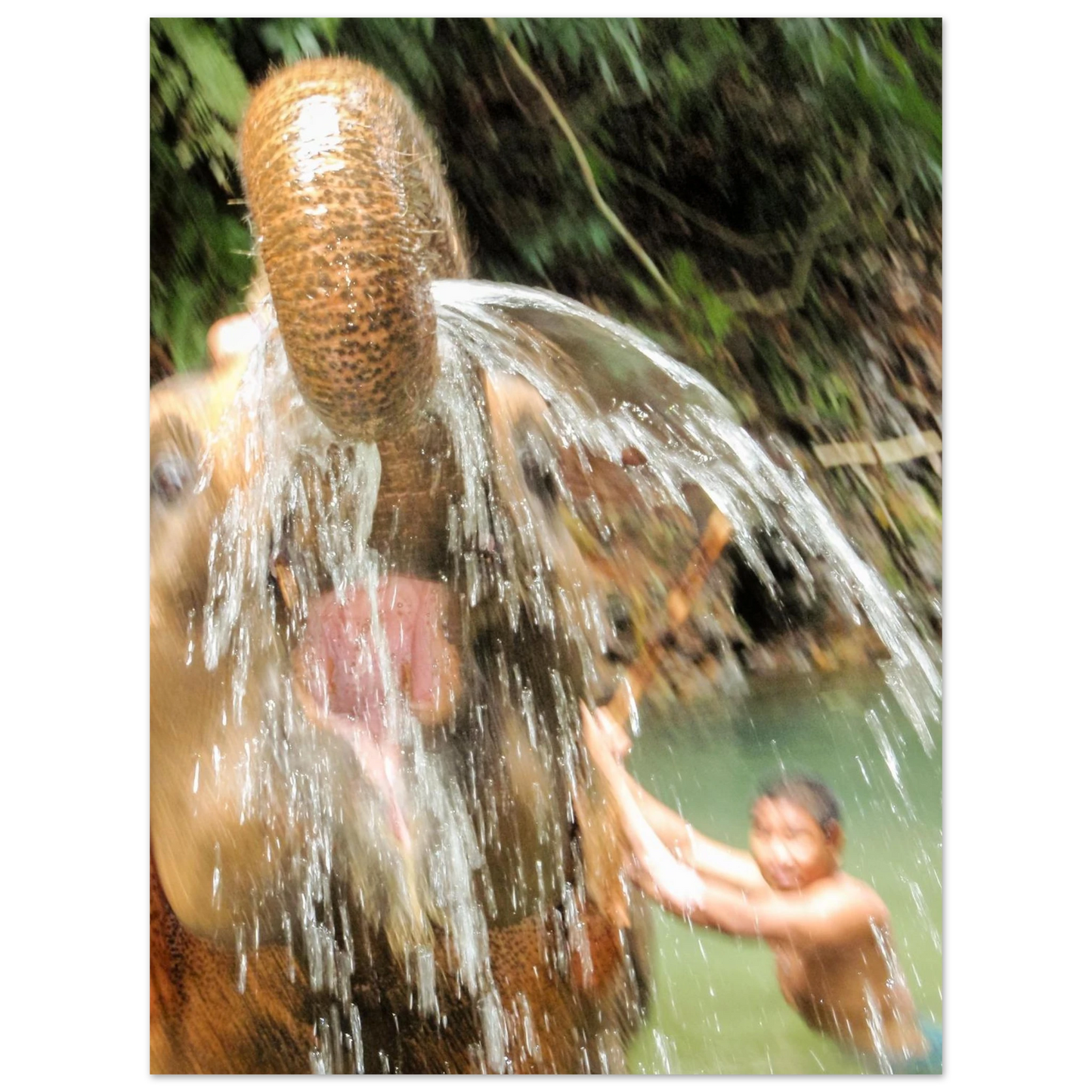 7b00eb36-26fe-448a-b406-78f6f6ec50d9