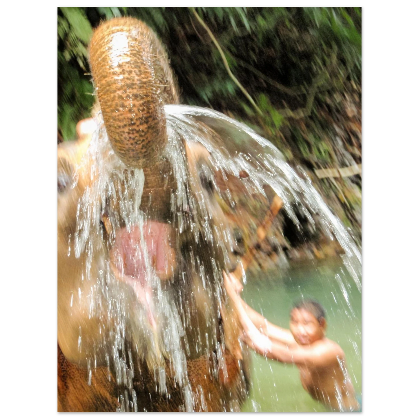 7b0b4e48-b2af-4d80-ac39-852f68001556